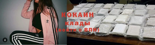 индика Баксан