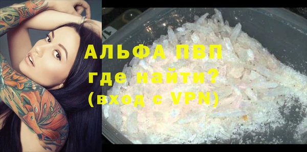 индика Баксан