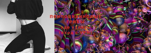 индика Баксан